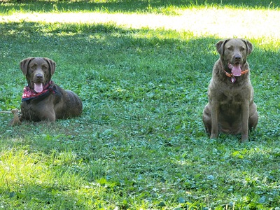 Tink (left) Andi (right)